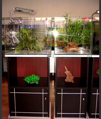 東莞有機玻璃專業制作各類精美工藝品